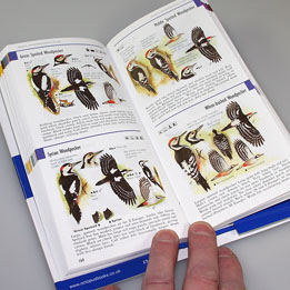 The Mitchell Beazley Birdwatcher's Pocket Guide by Hayman & Hume